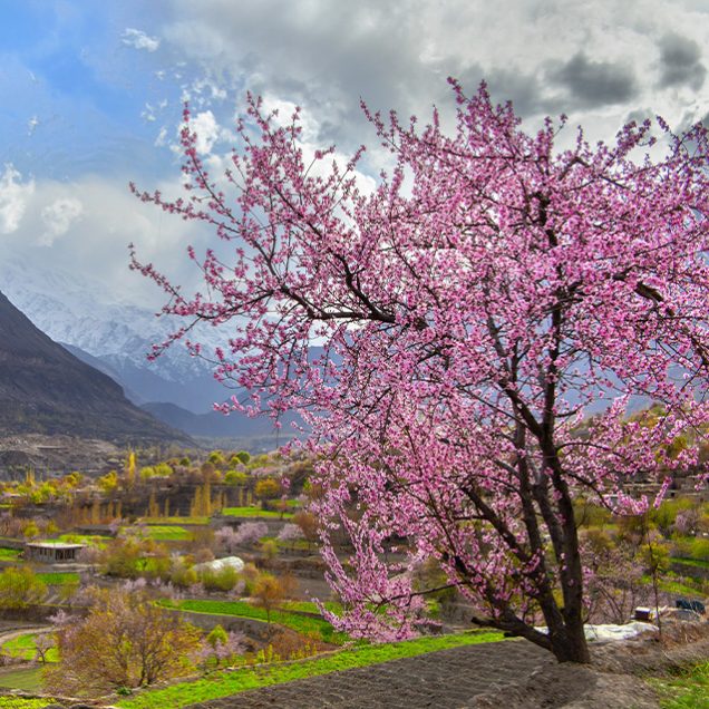 Hunza